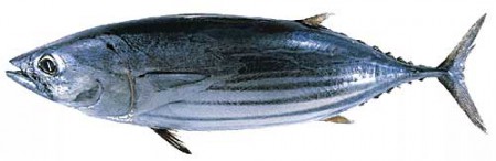 Vari Soorai - Skip Jack